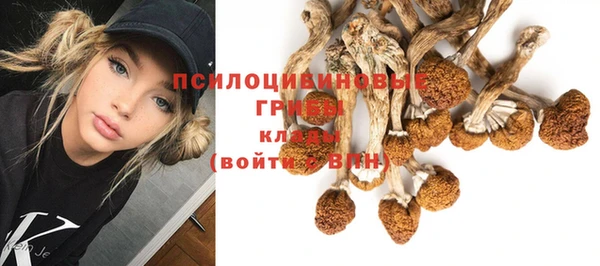 стаф Балабаново